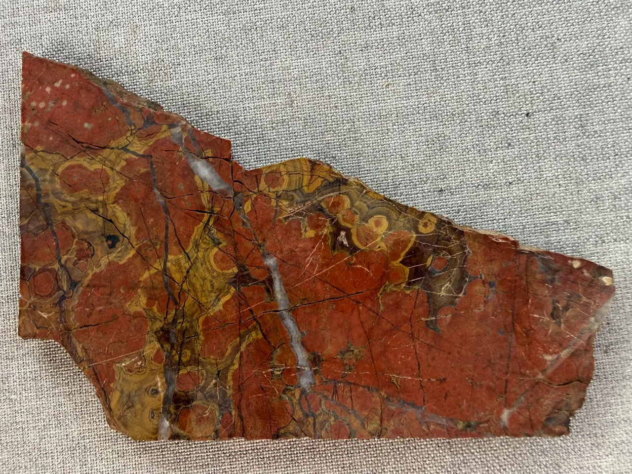 A cut slab of poppy jasper on grey linen: red poppies and yellow-banded orbs, veined with white quartz
